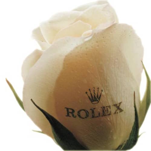 Personalised Roses