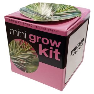 Promotional Tiny Christmas Terracotta Cubes Printed with your Logo