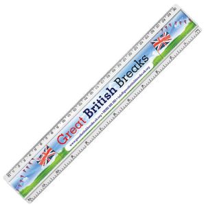 30cm Insert Ruler