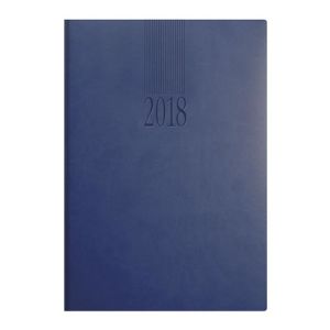 A4 Tucson Daily Diary