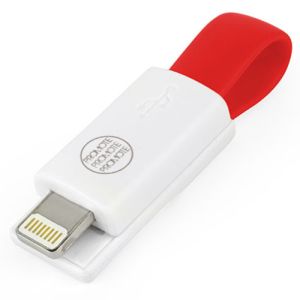 Mini Lightning USB Adaptors