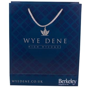 Promotional Medium Rope Handle Paper Bags printed with company design