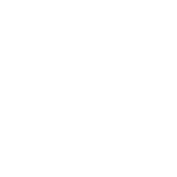 Schuh