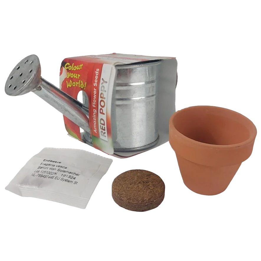 Zinc