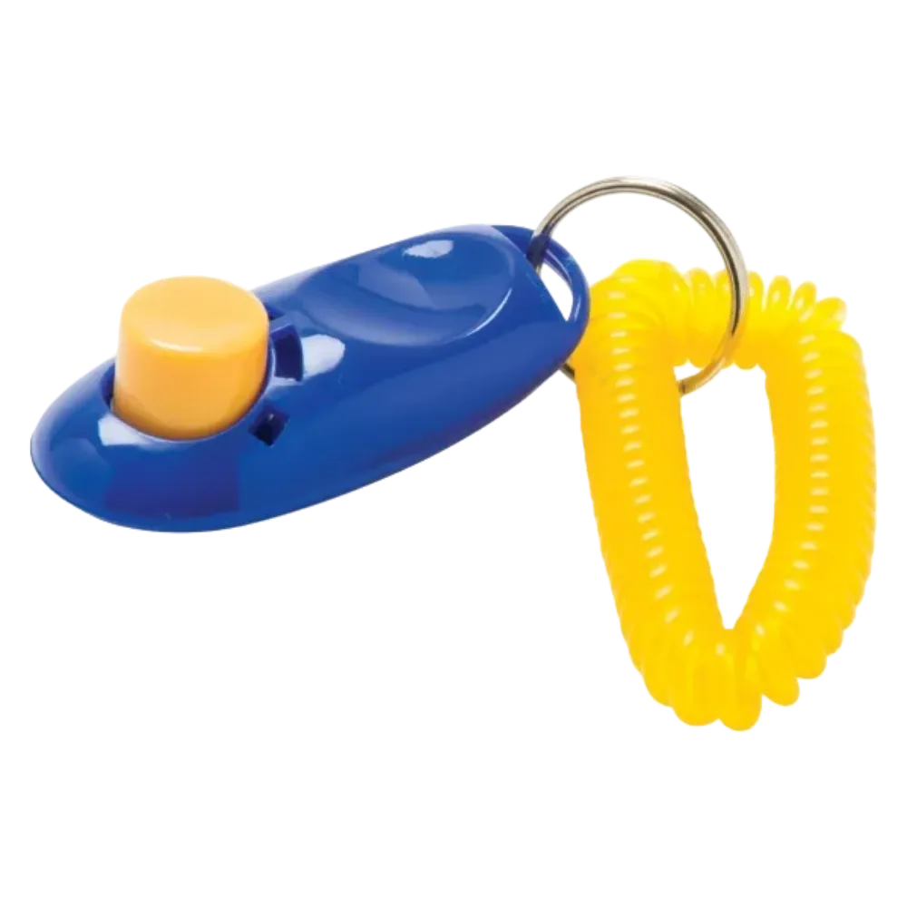 Blue / Yellow