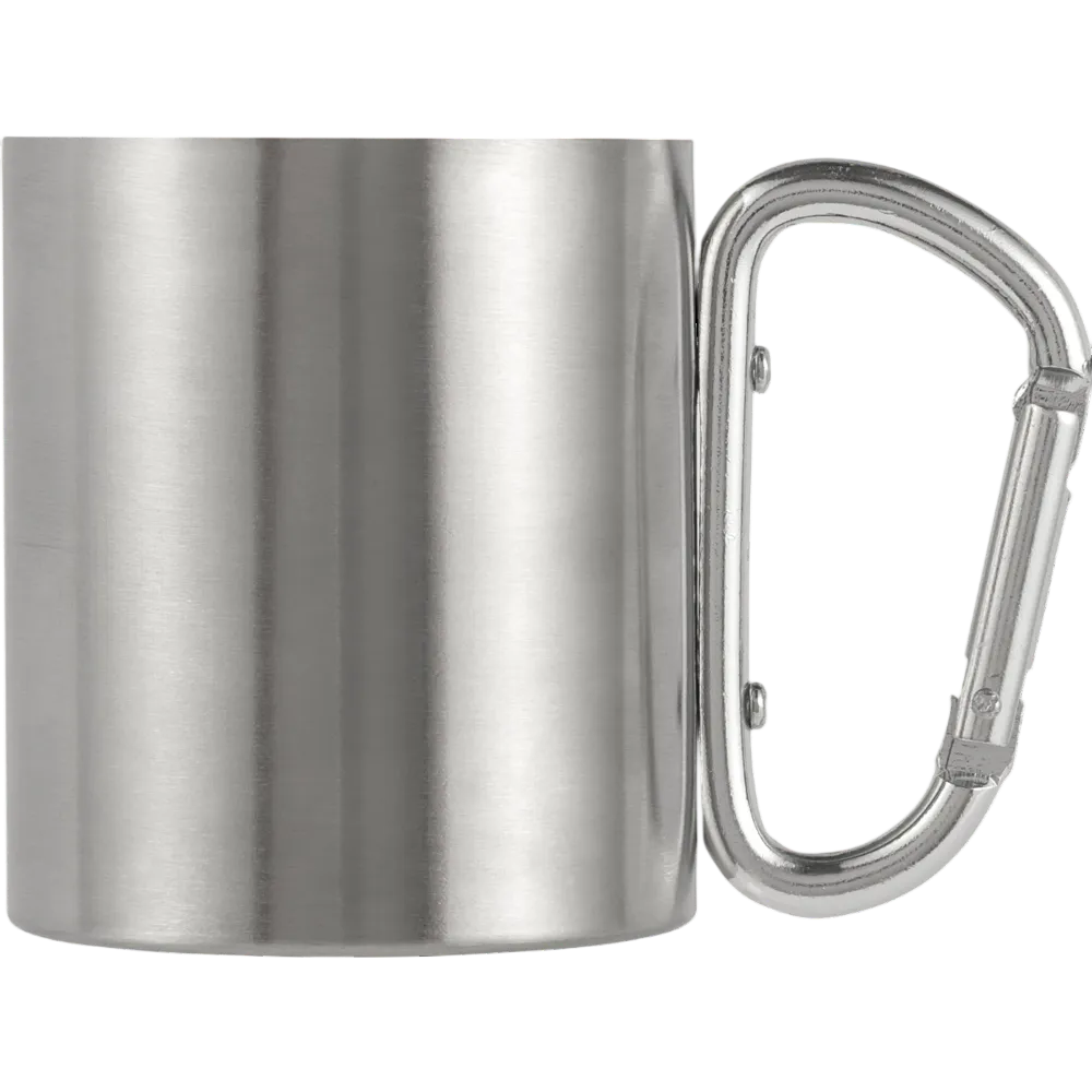 Stainless Steel / Silver