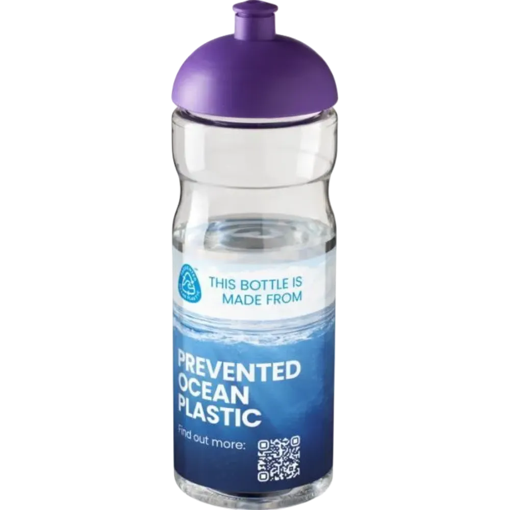 Transparent / Purple