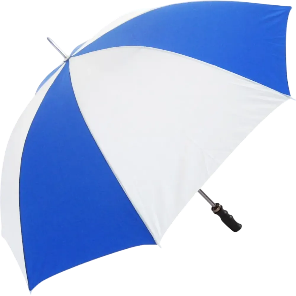 Royal Blue / White