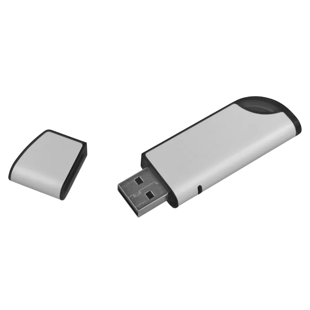 Silver / Black