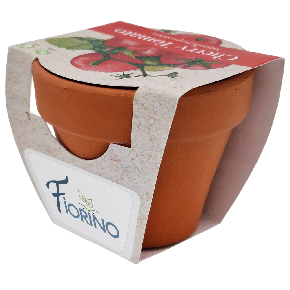 Terracotta