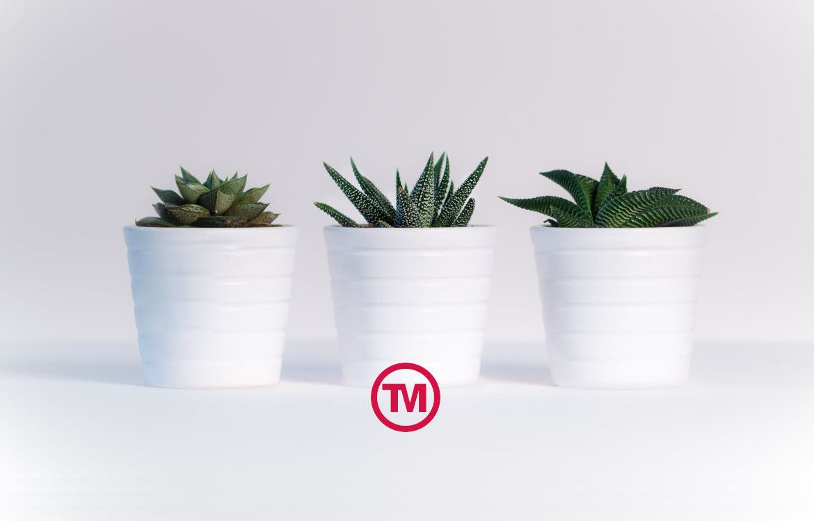 Top 5 Eco-Friendly Promotional Products That Can Make A Big Difference