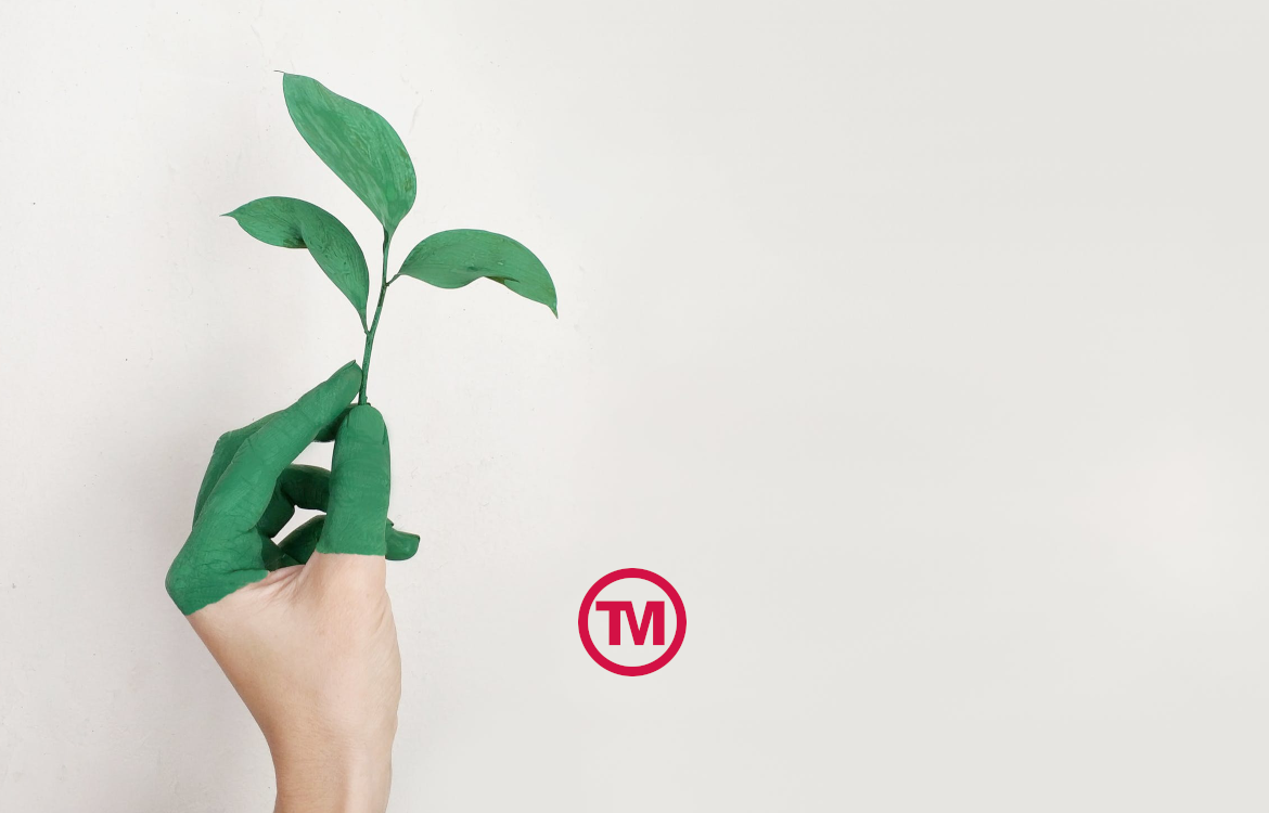 The Beginners' Guide To Eco Friendly Promotional Merchandise