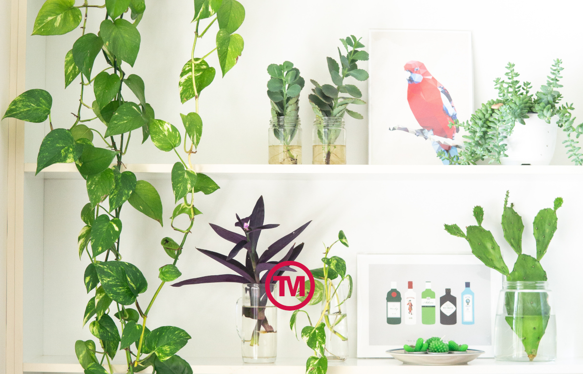 The TM Edit: Unusual Eco-Friendly Merchandise For 2020 Brand Awareness