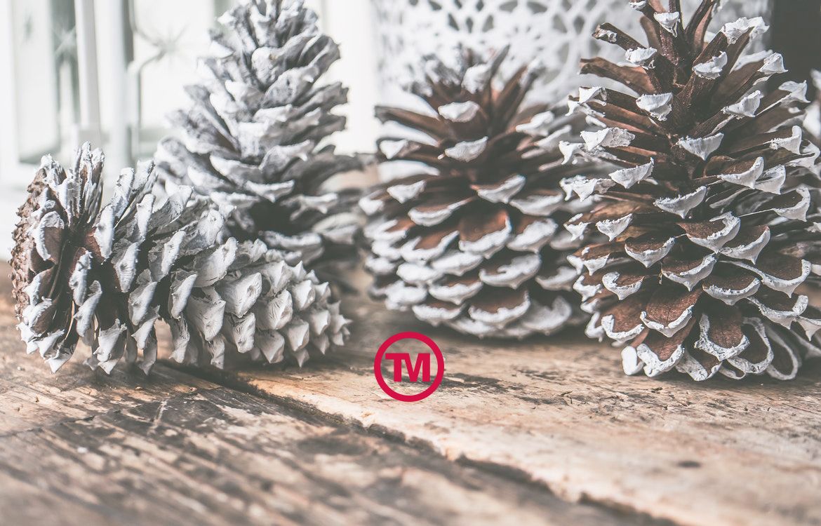 Get Ready for The Looming Christmas Period with Promotional Gifts