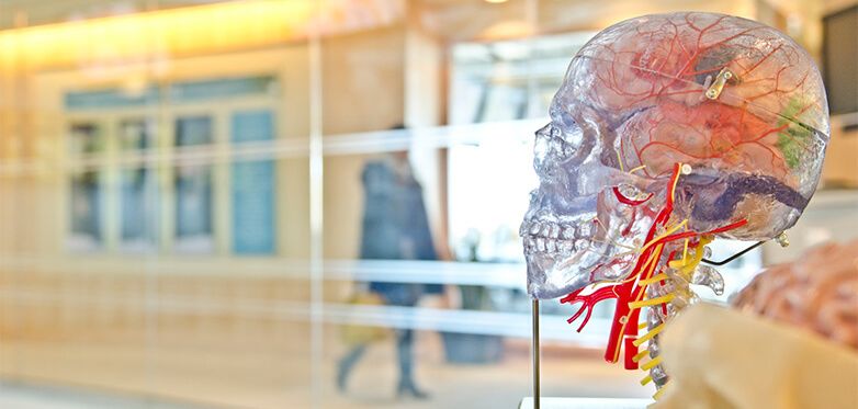 Principles of Psychology You Could Apply to Your Marketing: Part 3