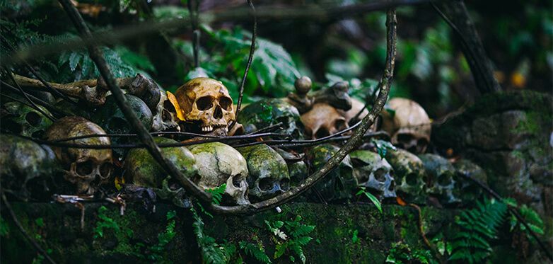 Trick or Treat - Halloween Marketing Inspiration