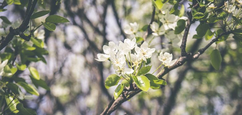 Time For A Spring Clean Of Your Marketing Strategy
