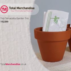 Tiny Terracotta Garden Trio