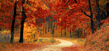 Promotional Autumn Must-Haves for Your UK Business