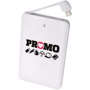 48 Hour Express Card Phone Charger