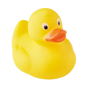 Plastic Toy Ducks