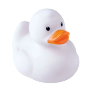 Plastic Toy Ducks