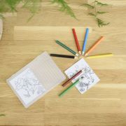 Colouring Pencil Picture Packs