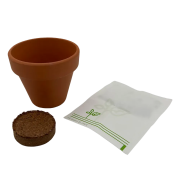 Tiny Christmas Terracotta Cubes