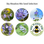 Sky Meadow Desktop Garden Tube