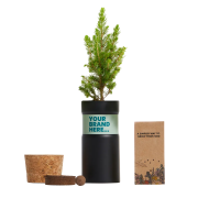 Christmas Tree Desktop Garden Tube