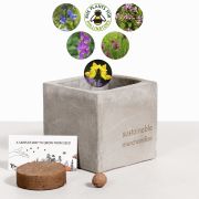 Bee Mix Clay Promotional Plant Pots