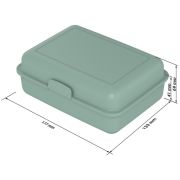 Recyclable School Lunch Boxes