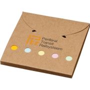 Custom printed Deluxe Coloured Sticky Notes Set