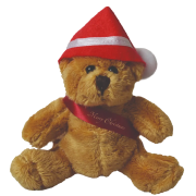 Branded 5 Inch Robbie Teddy Bear with Santa Hat and sash by Total Merchandise