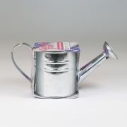 Mini Watering Can Grow Your Own Kits