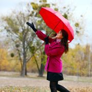 Express Value Supermini Telescopic Umbrella
