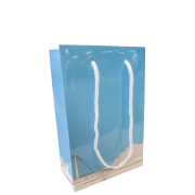 Standard Rope Handle Colours for Branded Small Gift Bags from Total Merchandise