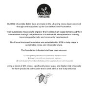 Some insight into The Cocoa Horizons Foundation origins and values