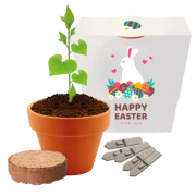 Promotional Clay Pot Grow Kits in White paper box printed with logo design by Total Merchandise
