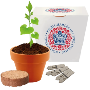Clay Pot Grow Kits