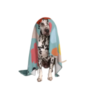 Logo Branded Pet Fleece Blanket With A Fully Printed Design From Total Merchandise
