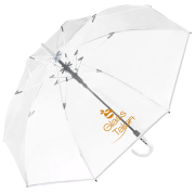 Transparent Umbrella in Transparent/White
