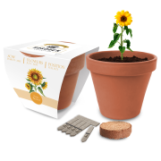 Express Essentials Clay Pot Gardens