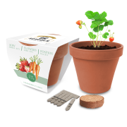 Express Essentials Clay Pot Gardens