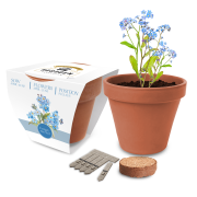 Express Essentials Clay Pot Gardens