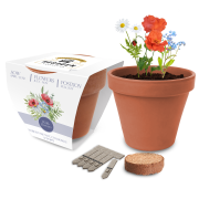 Customisable Essentials Clay Pot Gardens with Wildflower seeds from Total Merchandise