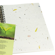 A5 Natural Card Notebook with Seed Paper Insert