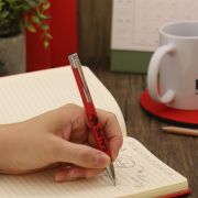 Recycled Mole Mate Satin Metal Ballpen