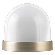 Snow Dome