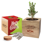 Desktop Cube Gardens